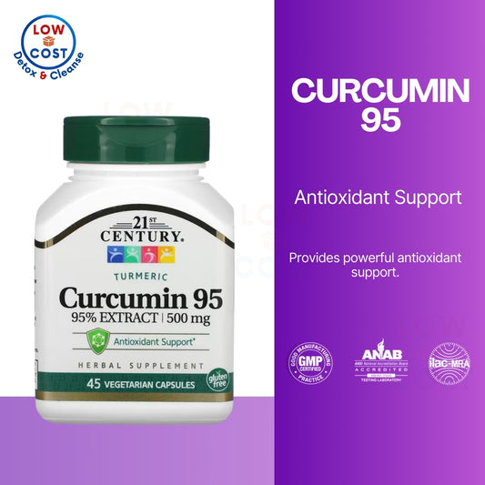 LowCostPH| 21st Century, Curcumin 95, 500 mg, 45 Vegetarian Capsules