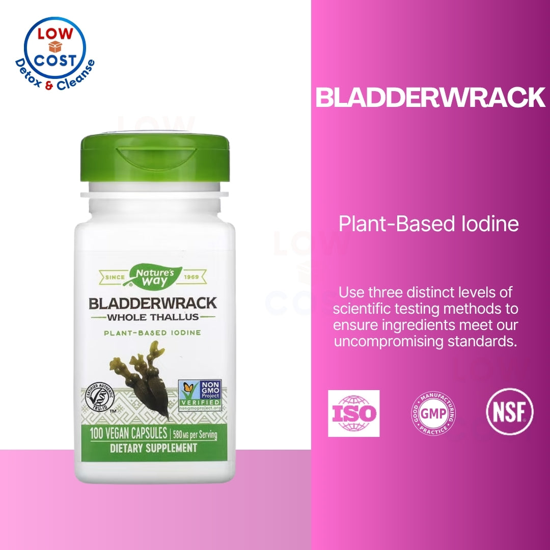 LowCostPH | Nature's Way, Bladderwrack, 580 mg, 100 Vegan Capsules plant-based to supplements.