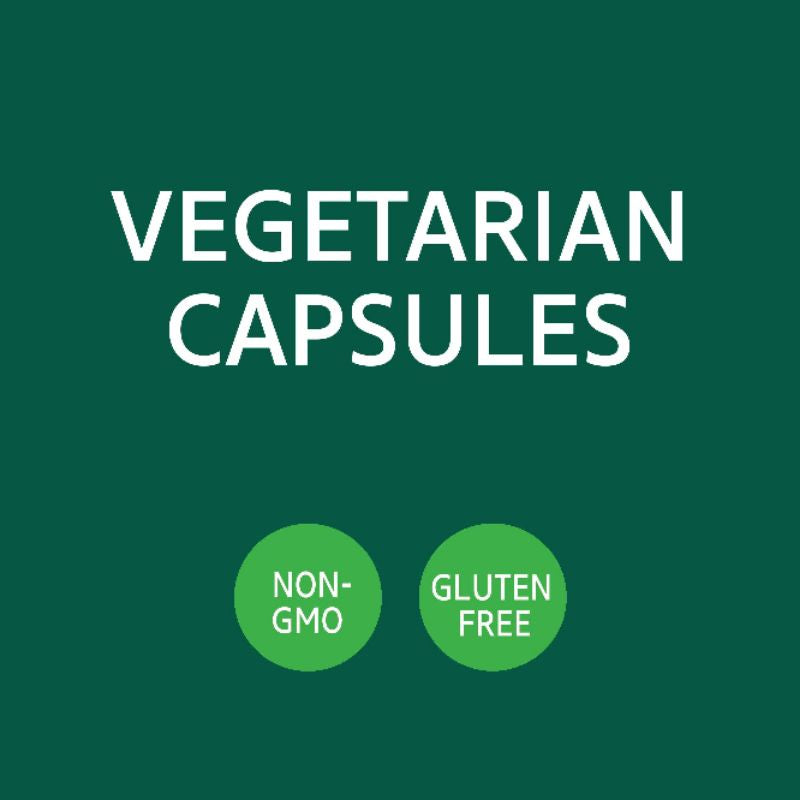 LowCostPH | 21st Century Ginkgo Biloba Extract, Standardized, Brain, Memory & Mental Performance