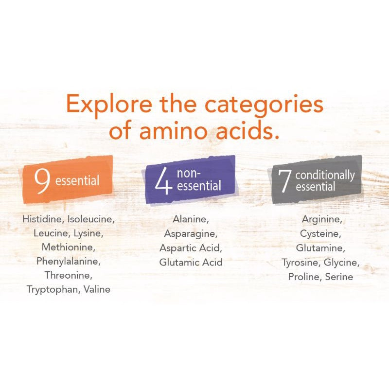 LowCostPH | Now Foods Zinc Picolinate 50mg, Solgar Zinc Picolinate 22mg, 21st Century Zinc 90ct