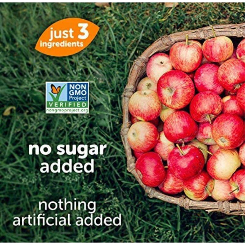 Low Cost PH | Beech-Nut Naturals Breakfast with Yogurt Apple Kale Yogurt Stage 2/3, (99 g) Each