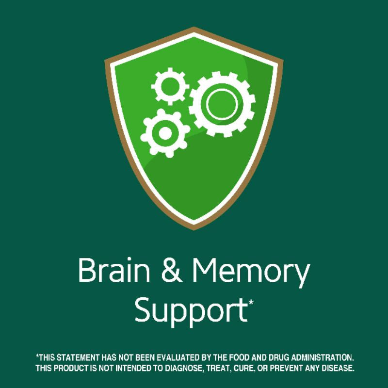 LowCostPH | 21st Century Ginkgo Biloba Extract, Standardized, Brain, Memory & Mental Performance