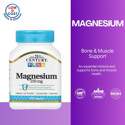LowCostPH | 21st Century, Magnesium, 250 mg, 110 Tablets