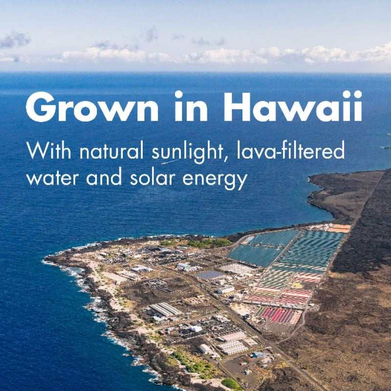 USA Onhand | Nutrex Hawaii Pure Hawaiian Spirulina, 400 / 100 Tablets Dietary Supplements.
