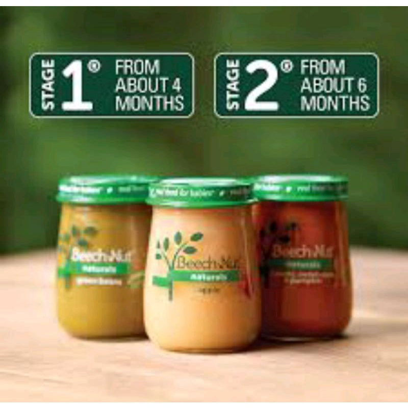 Low Cost PH | Beech-Nut Naturals Breakfast with Yogurt Apple Kale Yogurt Stage 2/3, (99 g) Each