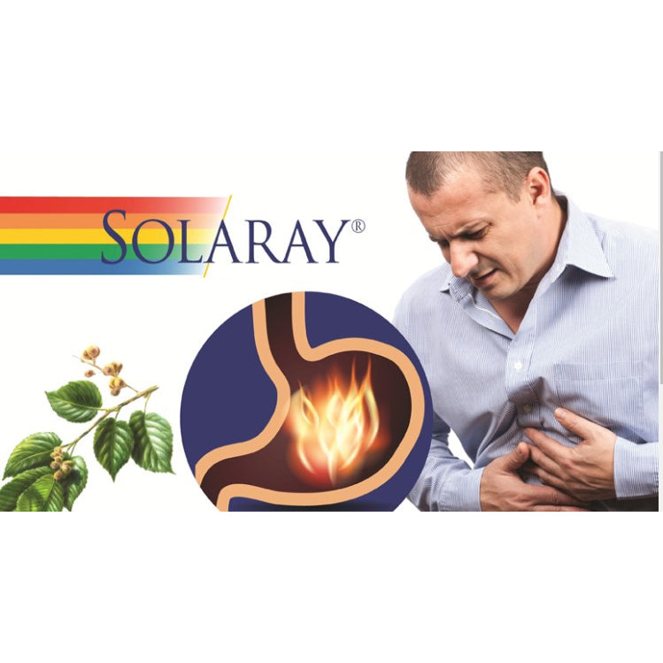 LowCostPh | SOLARAY Slippery Elm Bark Capsules (Ulmus Rubra) 400 mg - Soothing Herbal Support