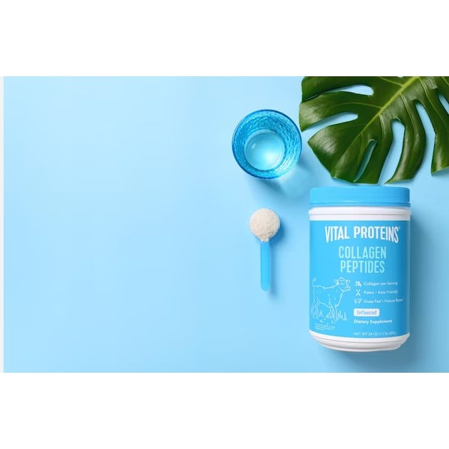 Low Cost PH | Vital Proteins Collagen Peptides Powder Supplement (Type I, III) for Skin Hair Nail Jo