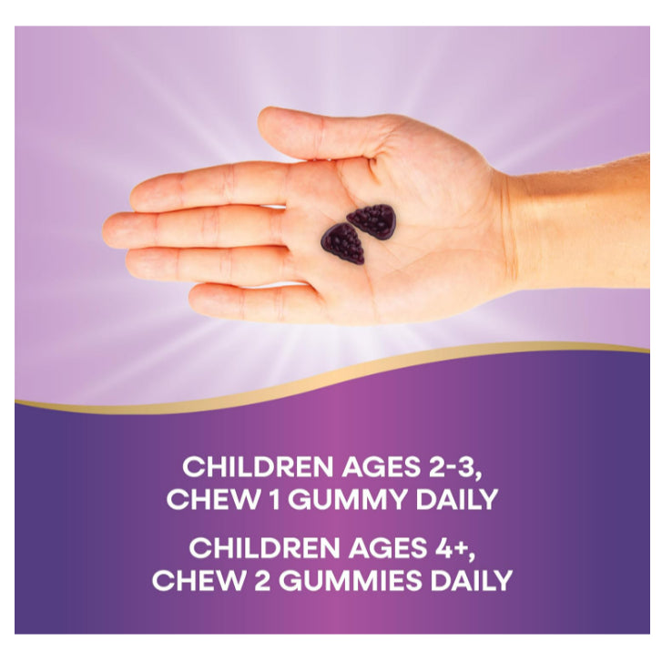 LowCostPh | Nature's Way, Sambucus Gummies, Standardized Elderberry, For Adult and Kids 60 Gummies