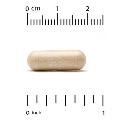 LOwCostPh | California Gold Nutrition, Lemon Balm Extract, European Quality, 500 mg, 60 Veggie Caps