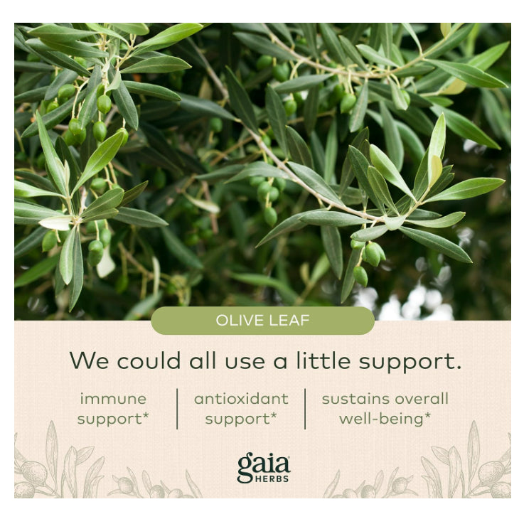 LowCostPH| Gaia Herbs, Olive Leaf, 120 Vegan Liquid Phyto-Caps