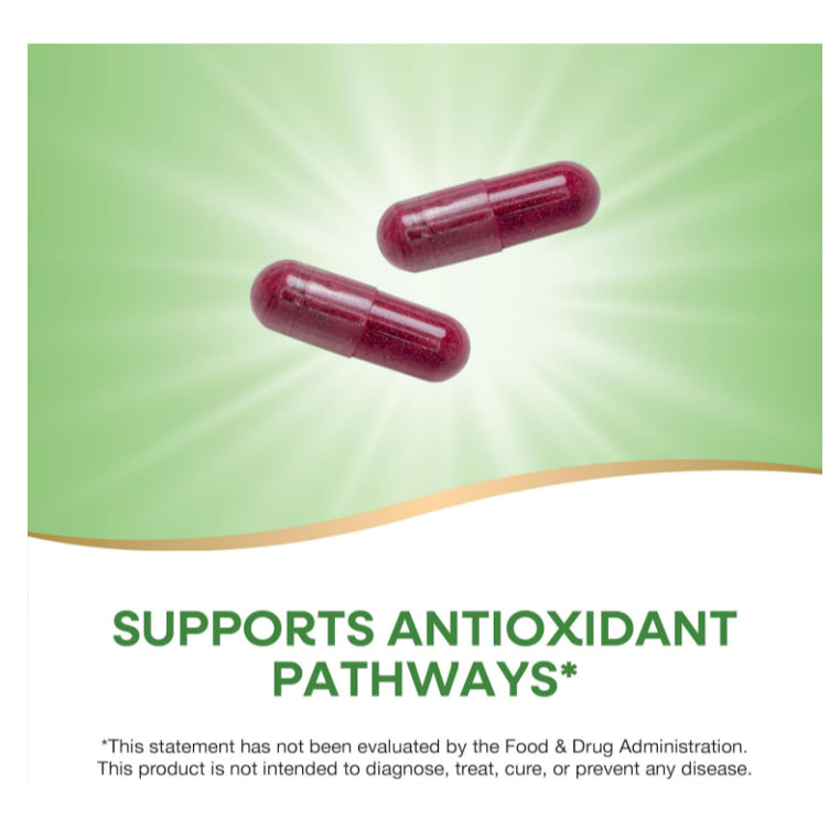 LowCost PH| Nature's Way Beet Root, Supports Antioxidant Pathways, Helps Neutralize Free Radical 100