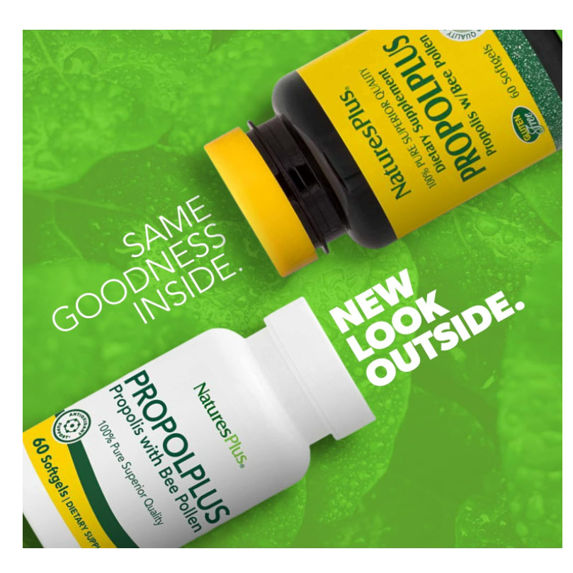 Low Cost PH | YS Eco Bee Farms, Natureplus Propolis 1000 Full Potency & Purity propolplus