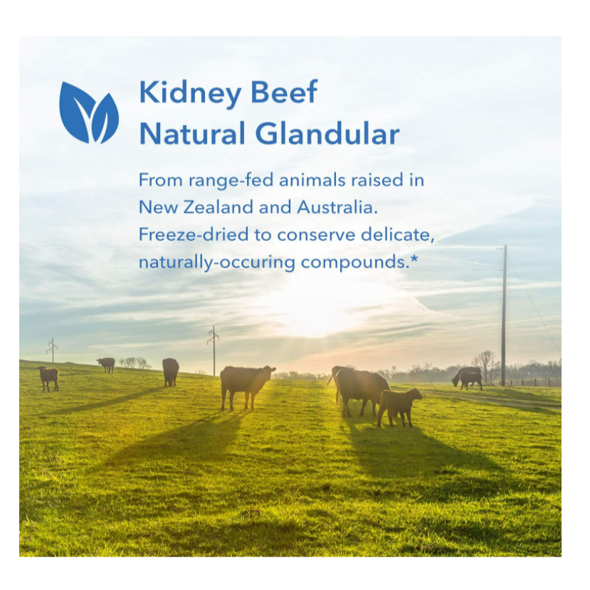 LowCostPH| Allergy Research Group, Kidney Beef, Natural Glandular, 100 Vegicaps