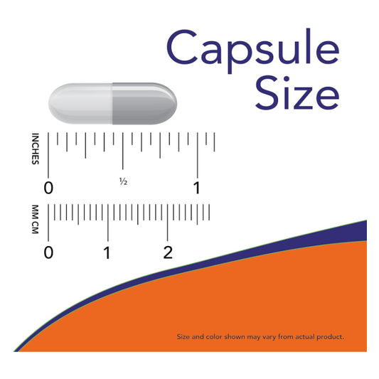 LowCostPH | Now Foods Pycnogenol VegCap Healthy Vascular Function Balanced Immune.