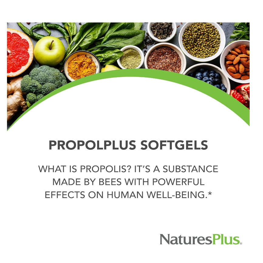 Low Cost PH | YS Eco Bee Farms, Natureplus Propolis 1000 Full Potency & Purity propolplus