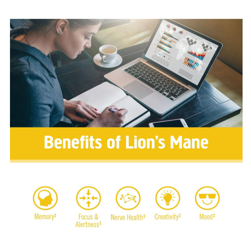 LowCost PH| Om Mushrooms, Lion's Mane Mushroom Superfood, 2,000 mg, 180 Vegetable Capsules (667 mg p