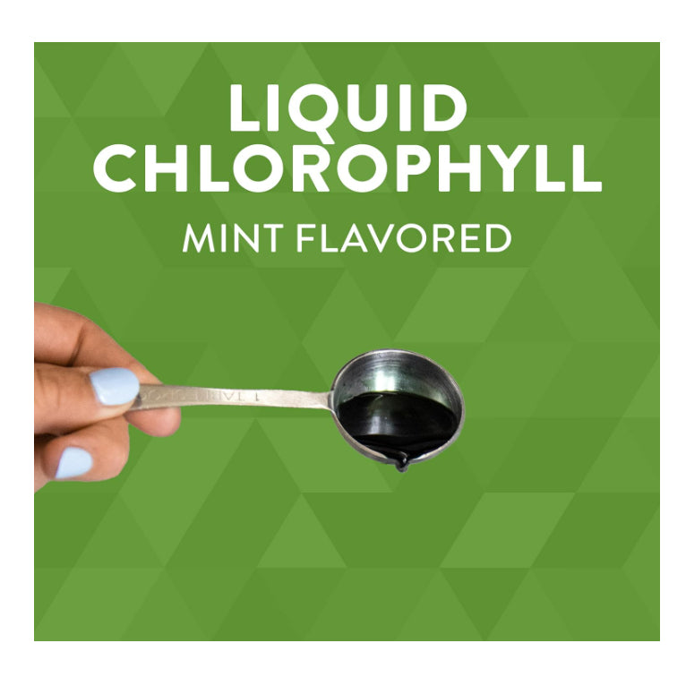 USA Onhand | Nature's Way, Chlorofresh, Liquid Chlorophyll, Mint, Concentrate Drops Oral Health.
