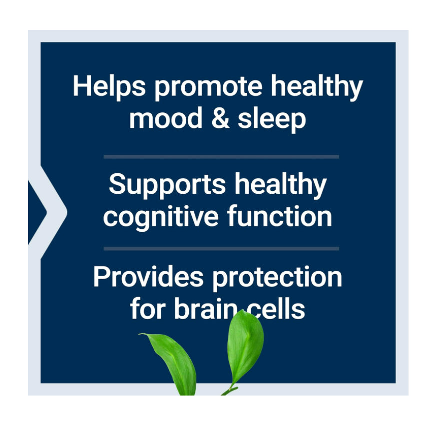 LowCostPH| Life Extension D, L-Phenylalanine Capsules, 500 mg β Supports Mood Health, Promotes Neuro