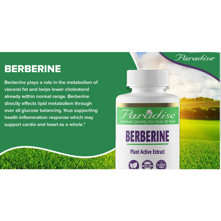 LOwCostPh | Paradise Herbs, Berberine Extract, 60 | 180 Vegetarian Capsules