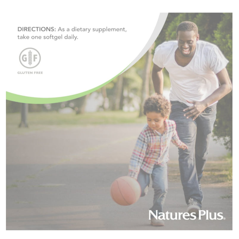 Low Cost PH | YS Eco Bee Farms, Natureplus Propolis 1000 Full Potency & Purity propolplus