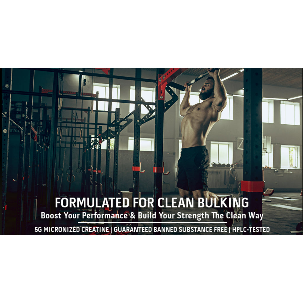 Low Cost PH | MuscleTech Essential Series Platinum 100% Creatine 400g
