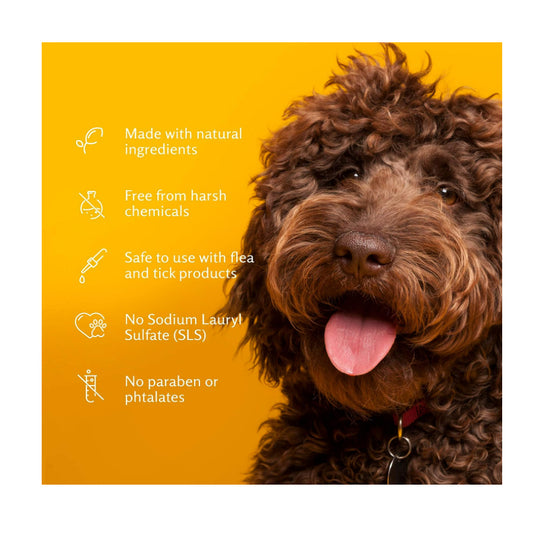 USAOnhand| Arm & Hammer, Super Deodorizing Spray for Pets, Kiwi Blossom, 8 fl oz (236 ml)