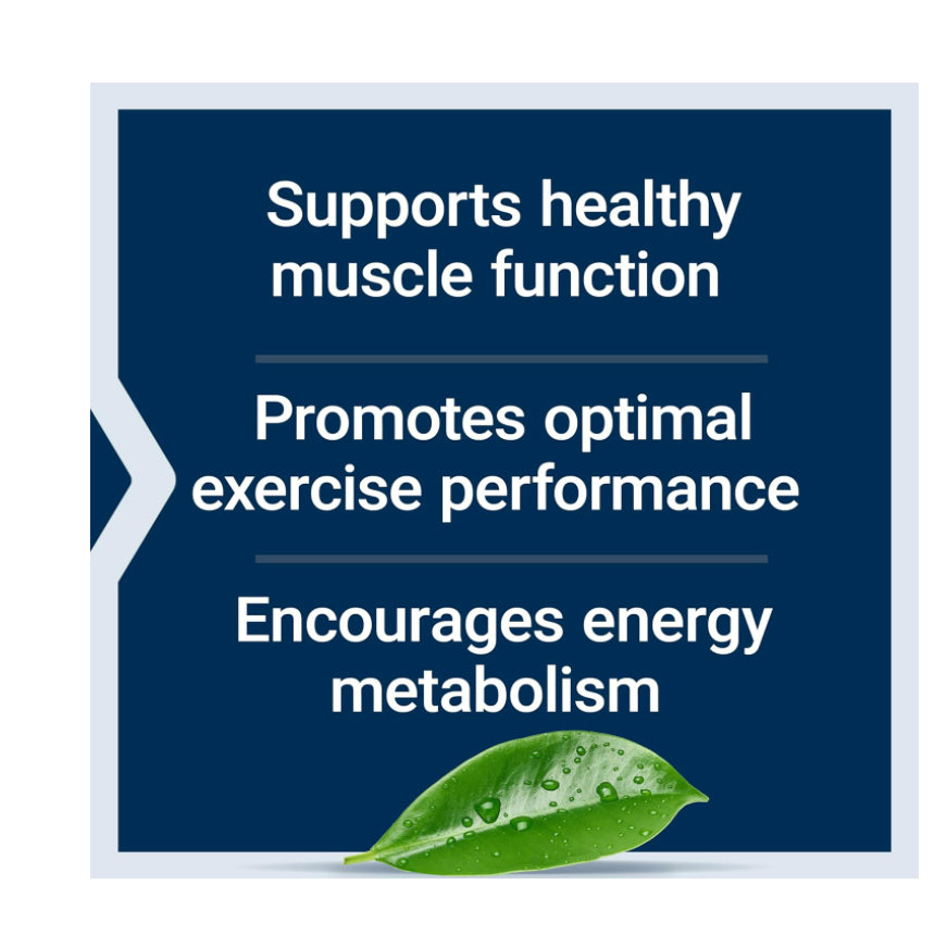 Lowcostph | Life Extension, Creatine Capsules, 120 Capsules
