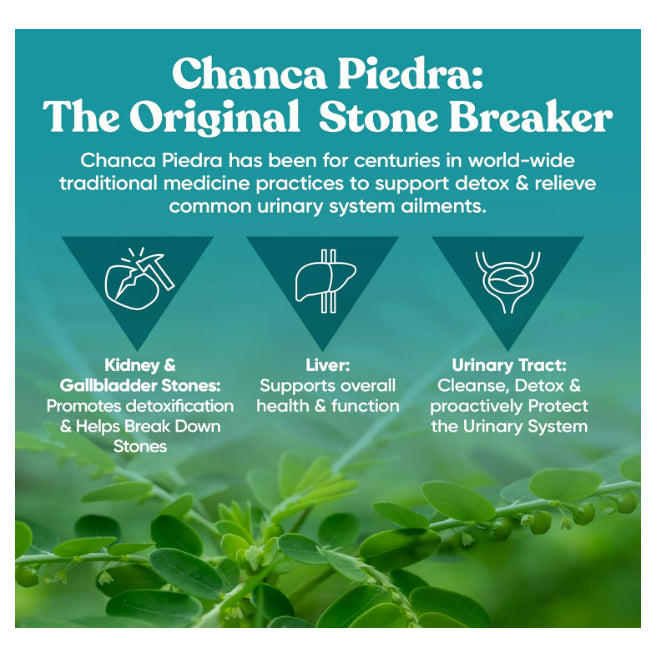 LowCost PH| Eu Natural, Stone Breaker, 60 Vegetarian Capsules