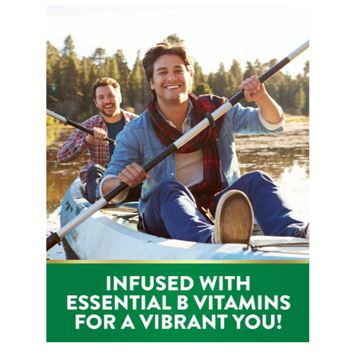 LowCost PH| Nature's Truth, Essential Iron + B-Vitamins, Zinc, Natural Grape, 60 Vegan Gummies