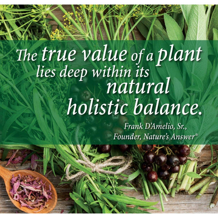 HealthilyYou | Nature's Answer, Black Walnut 1,500mg, Fluid Extract, Wormwood, Nature's Way, Swanson