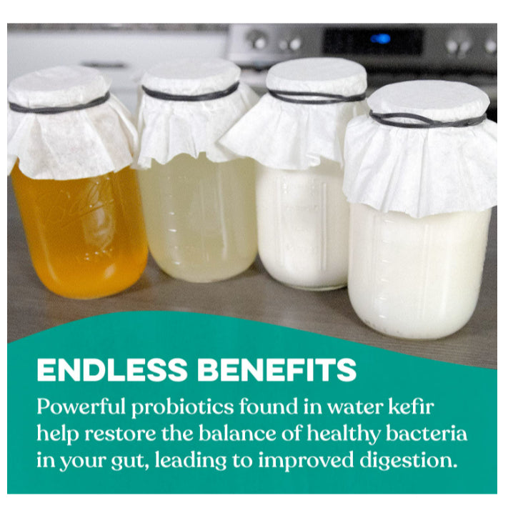 LowCost PH| Cultures for Health, Kefir Powdered Starter, 0.2 oz (5.6 g)