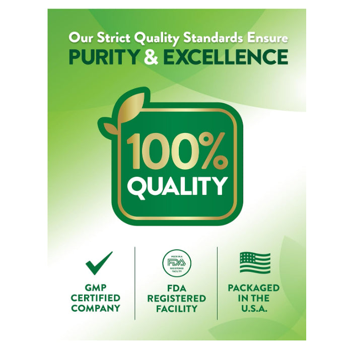 LowCost PH| Nature's Truth, Essential Iron + B-Vitamins, Zinc, Natural Grape, 60 Vegan Gummies