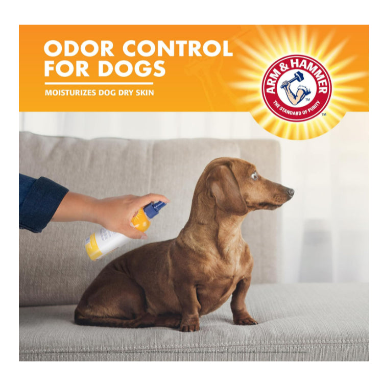 LowCostPH| Arm & Hammer, Super Deodorizing Shampoo For Pets, Kiwi Blossom, 20 fl oz (591 ml)