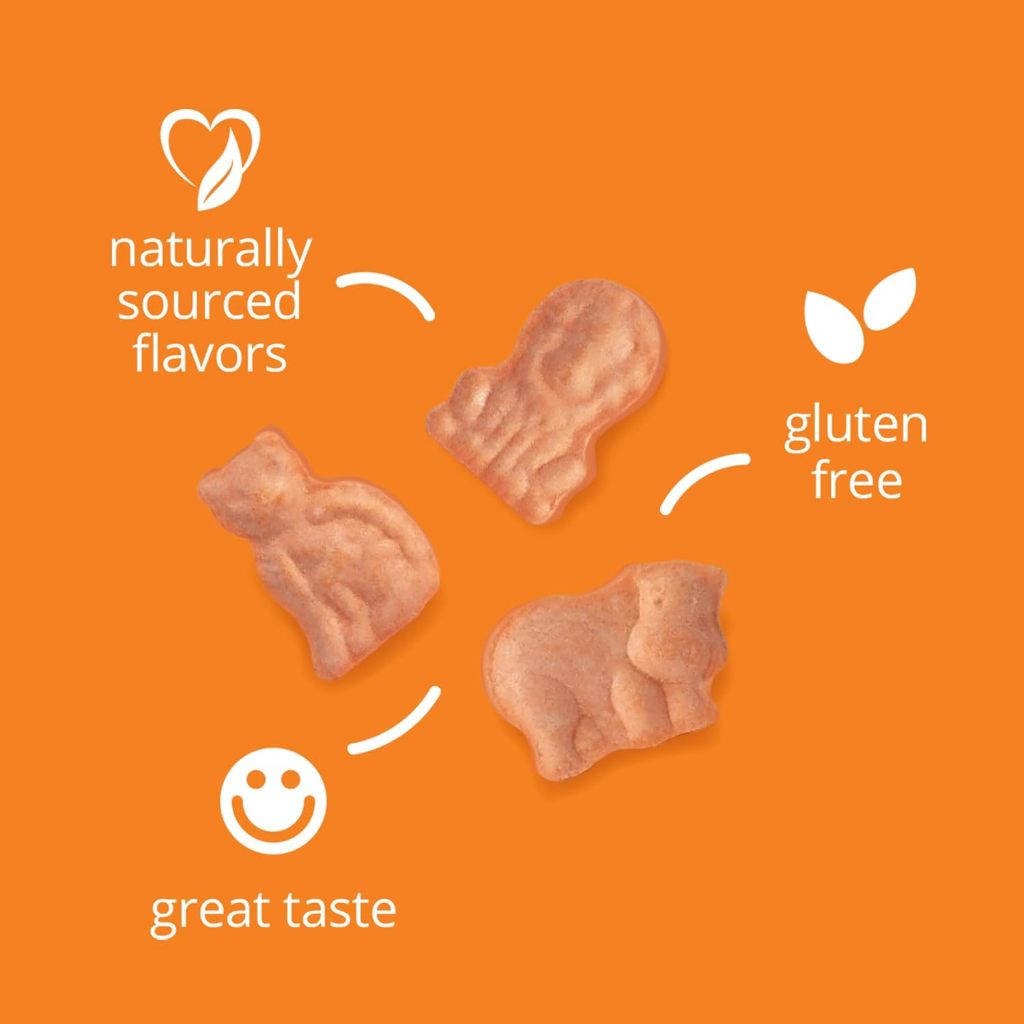 LittleSunshine | 21st Century, Zoo Friends Multi Gummies, Plus Extra C, Great Tasting Fruit Flavors
