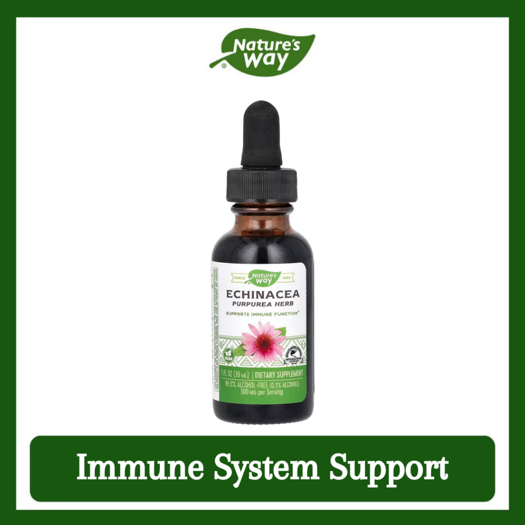 Nature's Way, Echinacea, 500 mg, 1 fl oz ( Immune System Support & Antioxidant Protection )