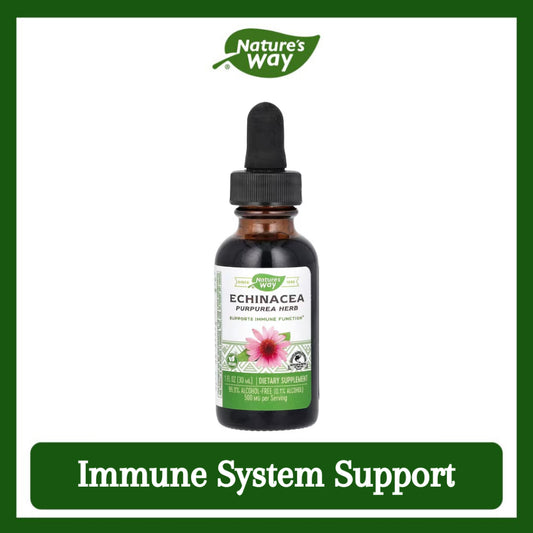 Nature's Way, Echinacea, 500 mg, 1 fl oz ( Immune System Support & Antioxidant Protection )
