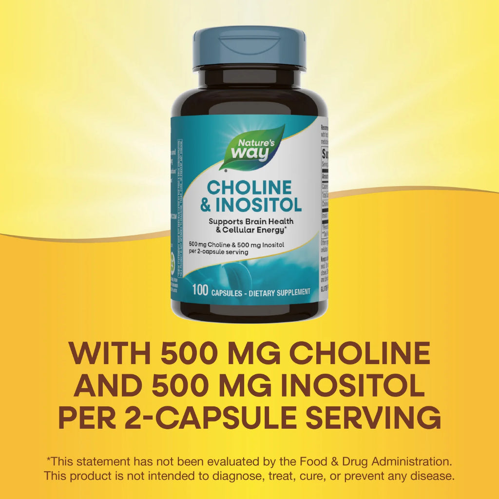 Nature's Way, Choline & Inositol ( Supports Brain Health & Enhances Cellular Function )