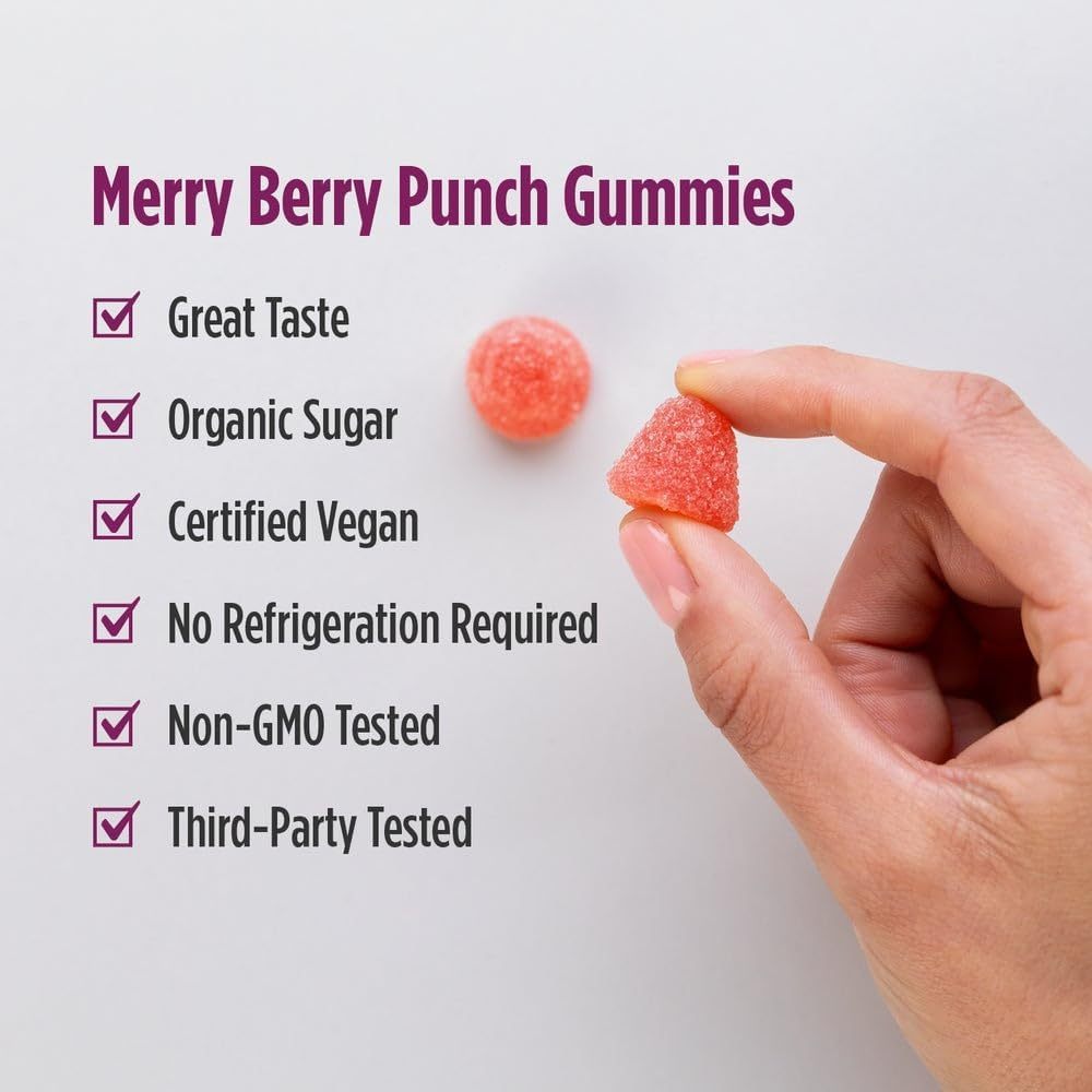 LittleSunshine | Nordic Naturals, Kids Probiotic Gummies, Great Berry, Supports Digestive Wellness