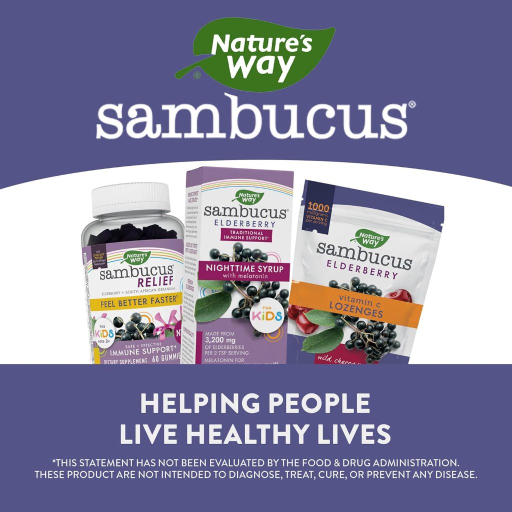 LittleSunshine | Nature's Way, Sambucus® Elderberry, For Kids, Nighttime Syrup With Melatonin,