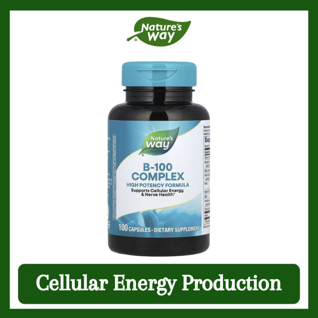 LowCostPH | Nature's Way, B-100 Complex ( Cellular Energy Production & Nerve Health )