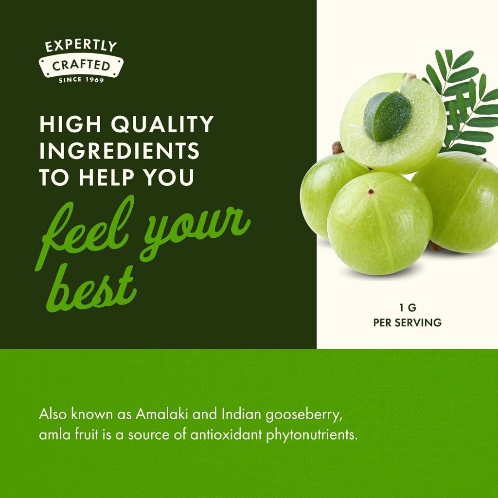 HealthilyYou | Swanson, Full Spectrum® Amla Fruit, 120 Vegan Capsules Antioxidant Support