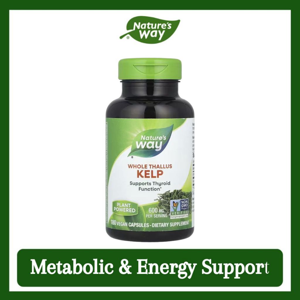 Nature's Way, Kelp, Whole Thallus ( Thyroid Support, Metabolic & Energy Support )