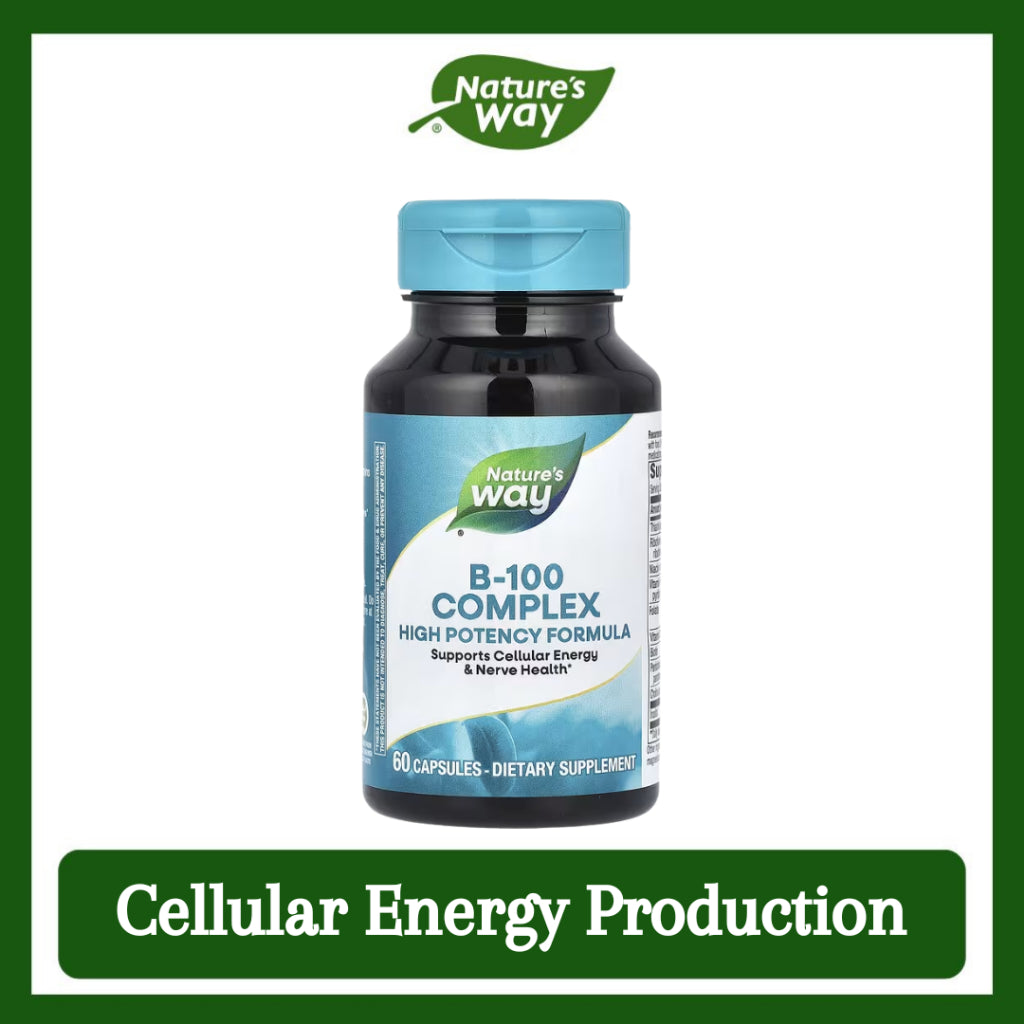Nature's Way, B-100 Complex ( Cellular Energy Production & Nerve Health )