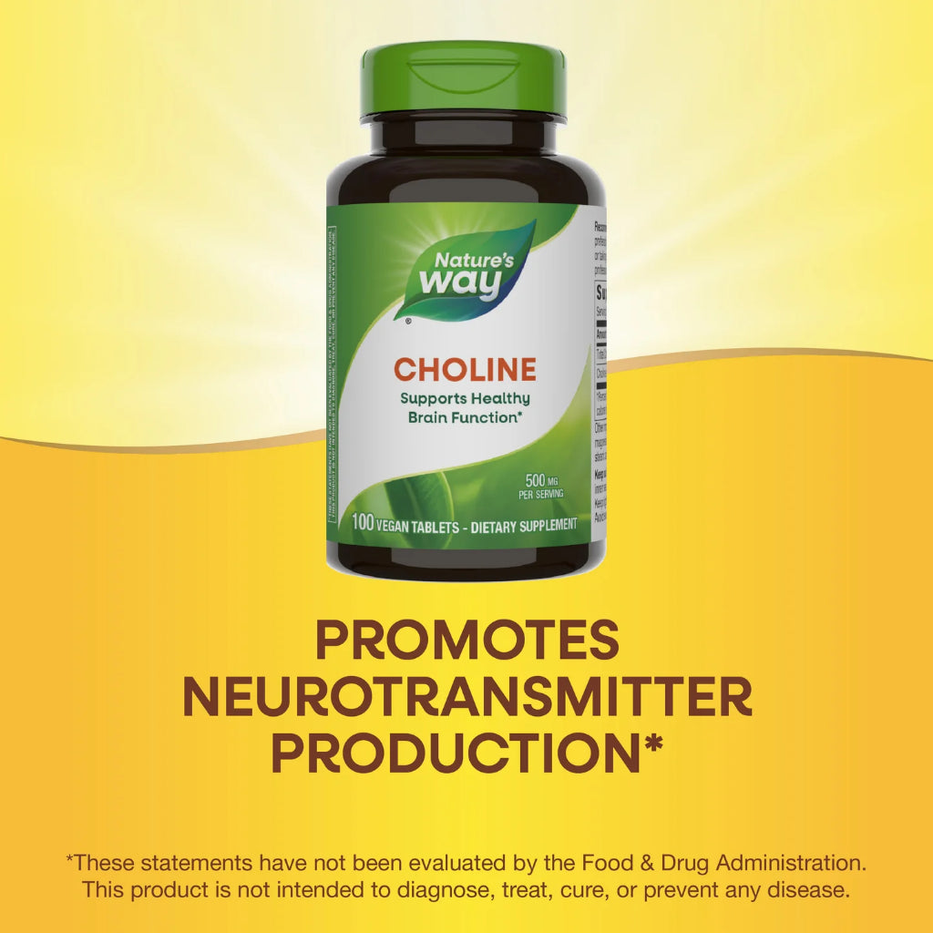Nature's Way, Choline ( Enhances Liver, Supports Brain & Cognitive Function )