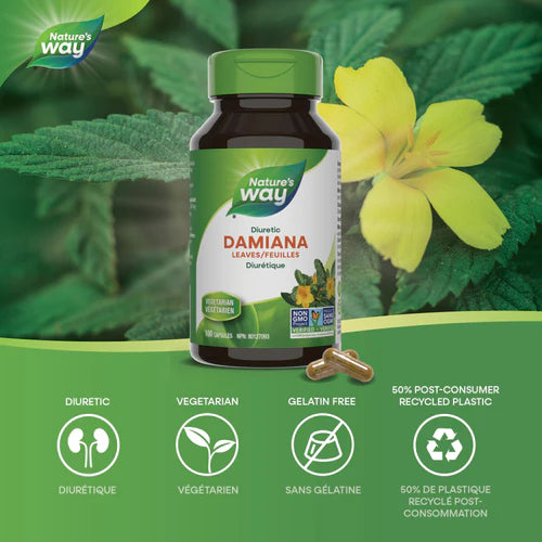 Nature's Way, Damiana Leaves ( Mood, Energy Enhancement & Digestive Comfort )