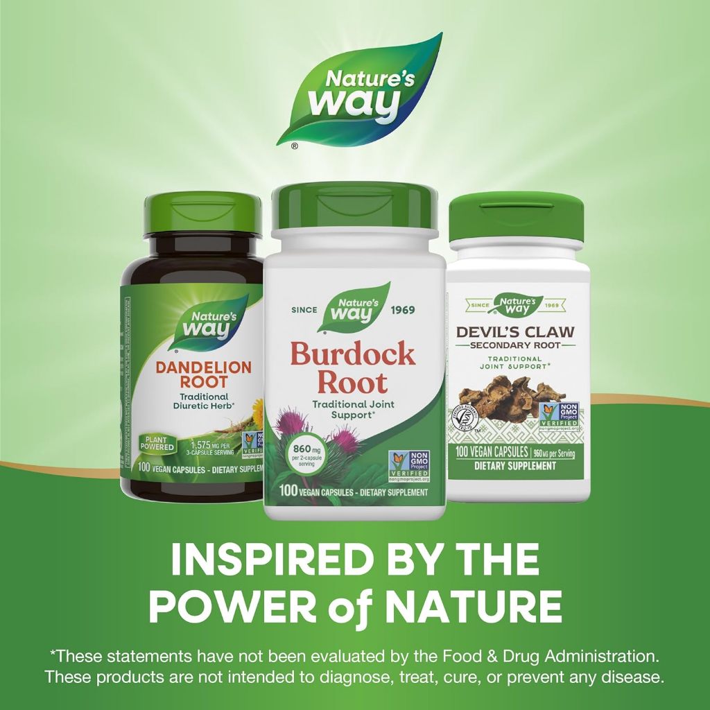 Nature's Way, Burdock Root ( Joint Health, Antioxidant Support & Digestive Support )