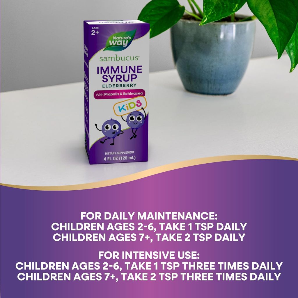Nature's Way, Sambucus® Kids, Immune Syrup Elderberry ( Boosts Immune System )