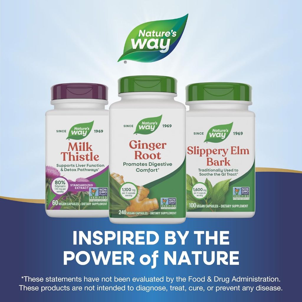 Nature's Way, Ginger Root ( Supports Healthy Digestion, Eases Indigestion & Mild Heartburn )