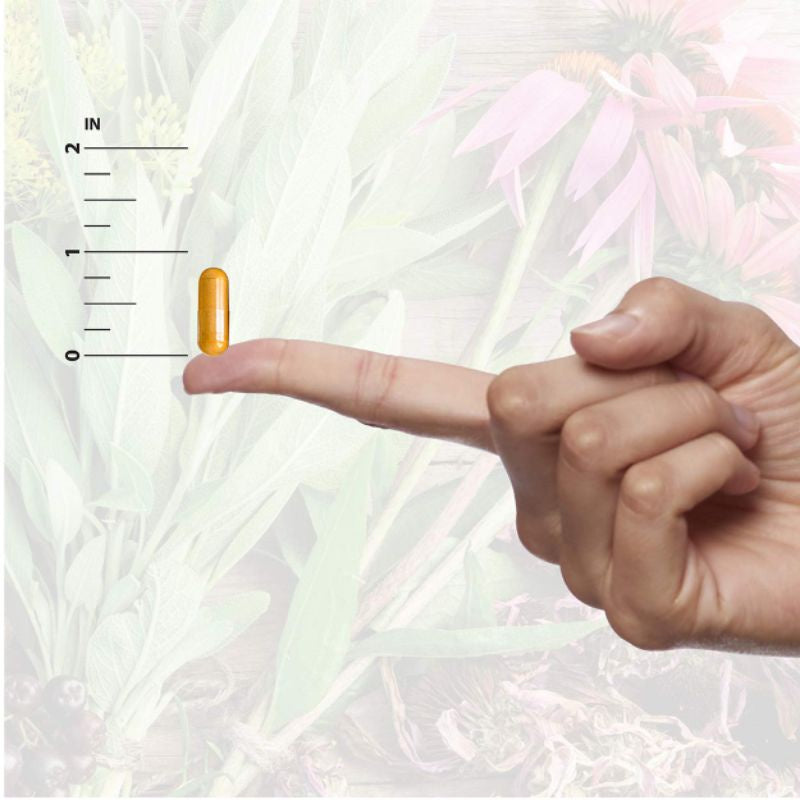 LowCostPh | Nature's Answer, Mullein Leaf, 500 mg, 90 Veg Cap | Fluid Extract, Alcohol-Free, 2,000mg