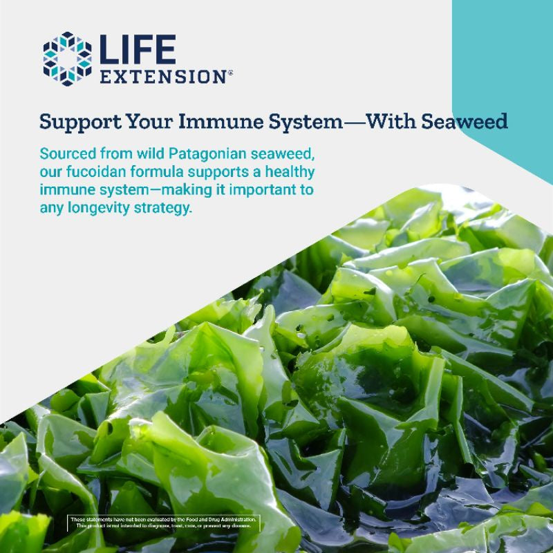 Low Cost PH | Life Extension, Optimized Fucoidan with Maritech for Immune Health Support 926,